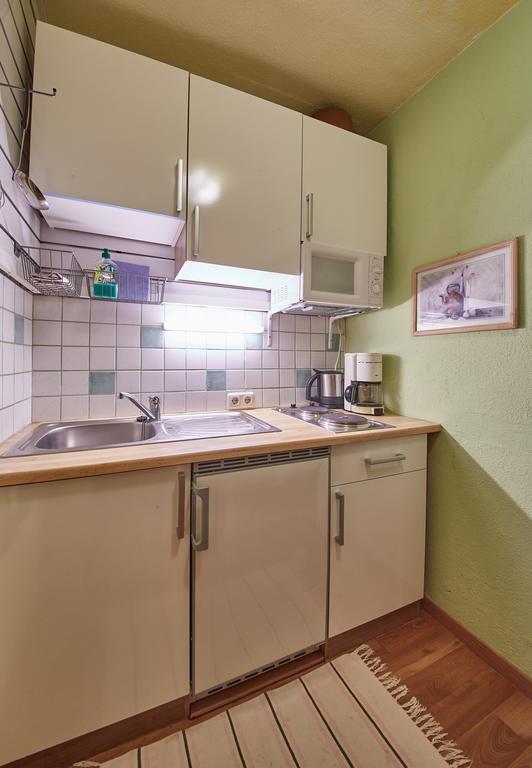 Appartements Alpin Saalbach-Hinterglemm Zewnętrze zdjęcie