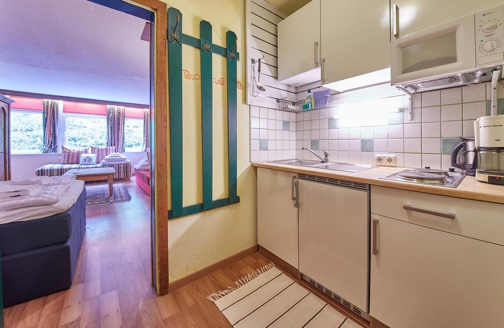 Appartements Alpin Saalbach-Hinterglemm Zewnętrze zdjęcie